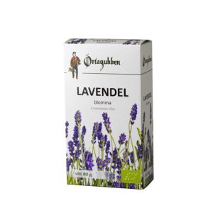 Örtagubben torkad lavendel blomma