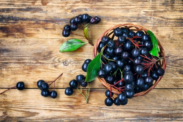 Finns det biverkningar av aronia?